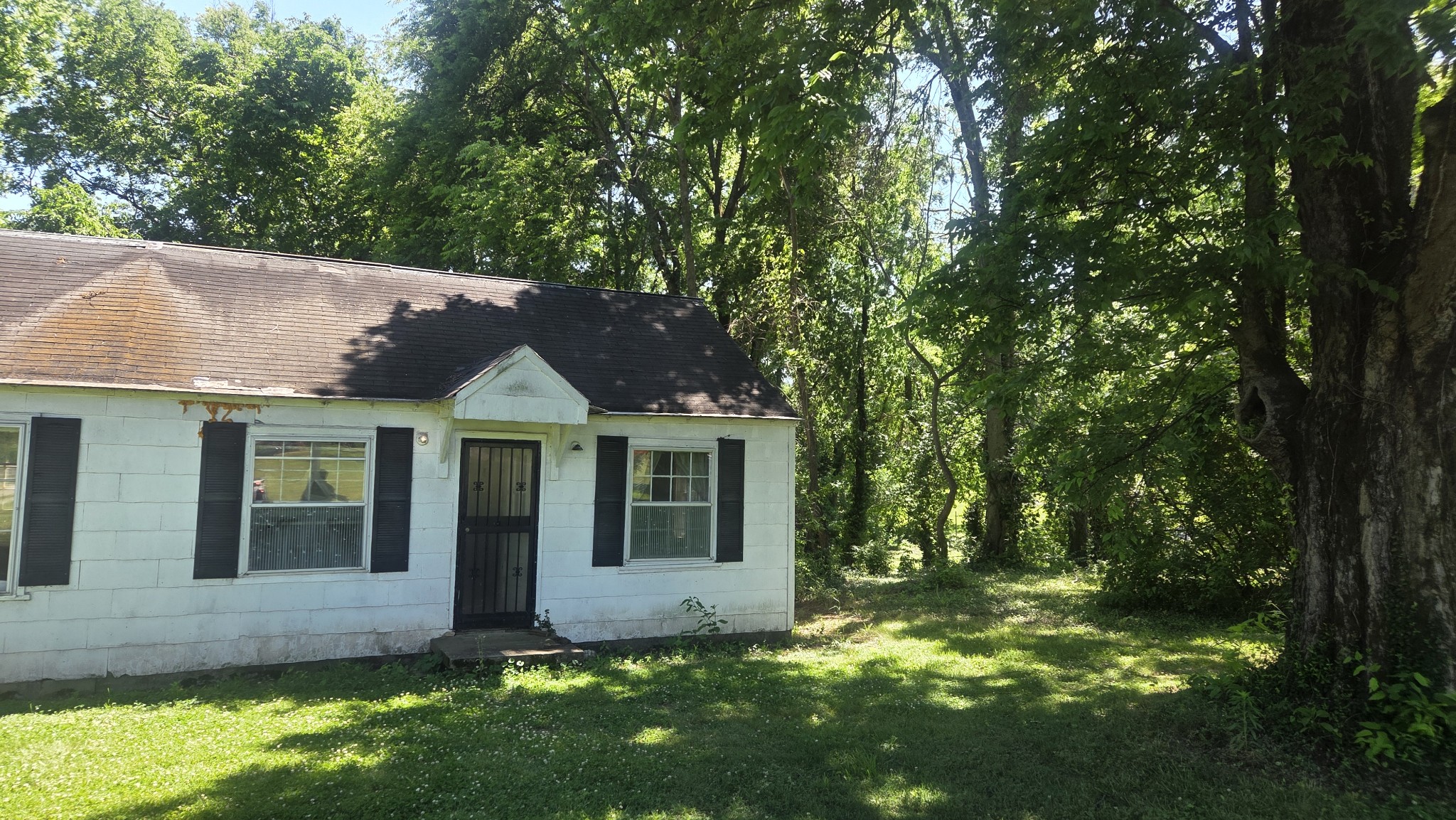 Land in Nashville 2