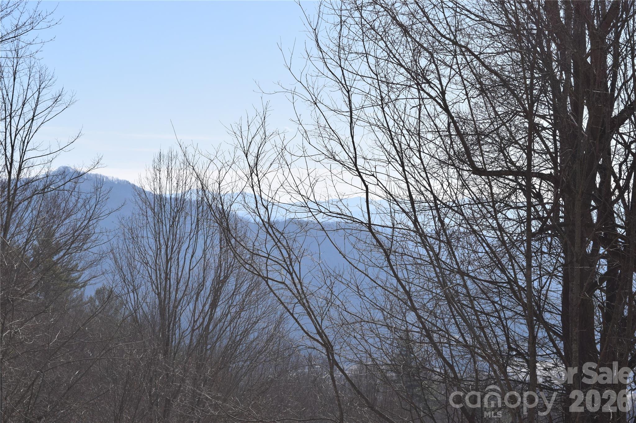Land in Waynesville