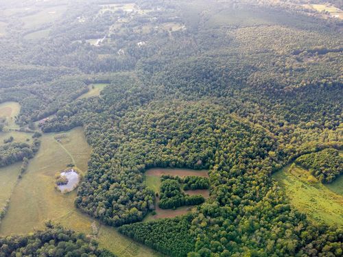 0 Underwood Mountain Rd, Tuscumbia, AL, 35674 | Card Image