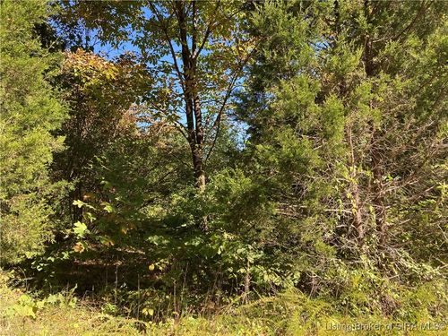 64 White Oak Drive S, Marengo, IN, 47140 | Card Image