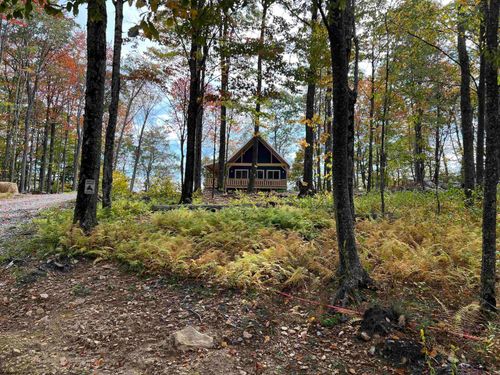 600 Forest Cabin Rd, Huttonsville, WV, 26273 | Card Image