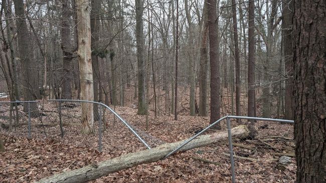 Exterior damaged fence | Image 16