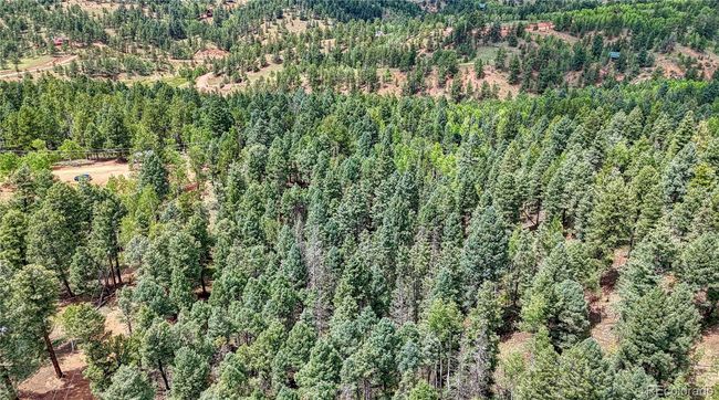 94 Mariposa Cir, Home with 0 bedrooms, 0 bathrooms and null parking in Cripple Creek CO | Image 5