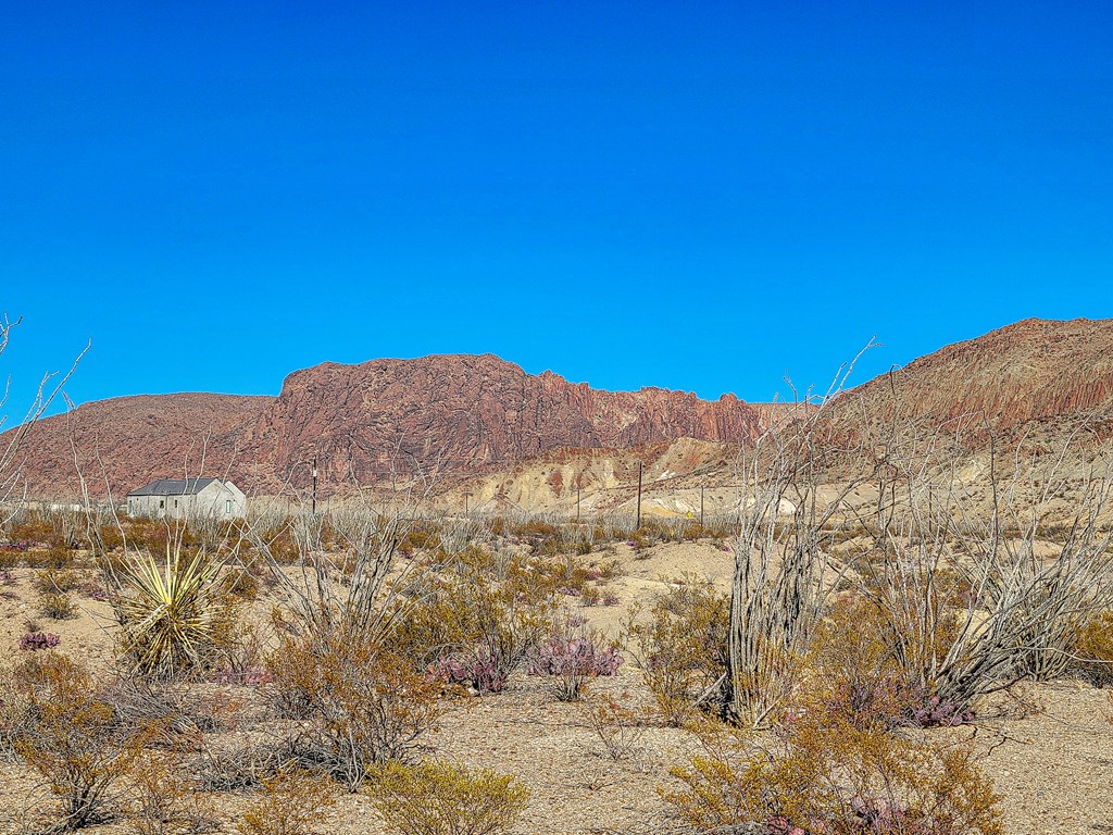 Land in Terlingua 5