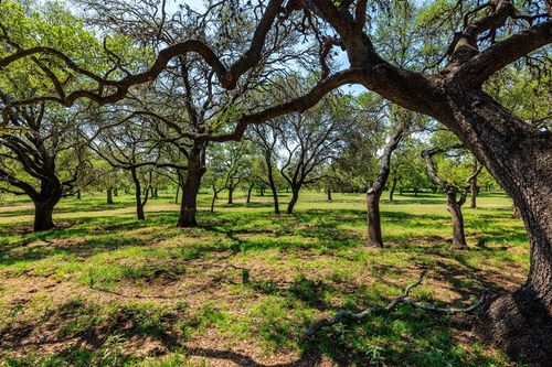 2-1114 Meadow Lark Dr, Fredericksburg, TX, 78624 | Card Image