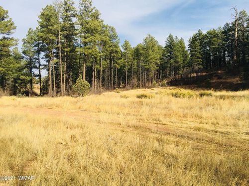 0000 N Clark Rd, Show Low, AZ, 85901 | Card Image