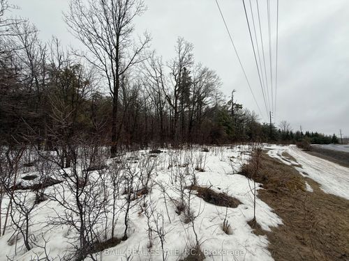 Lot 1 County Road 6 N/A, Douro Dummer, ON, K0L2H0 | Card Image