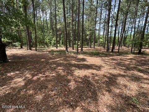 Land in Fairmont 4