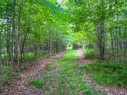 93.89A Kundinger Rd, Park Falls, WI, 54552 | Card Image