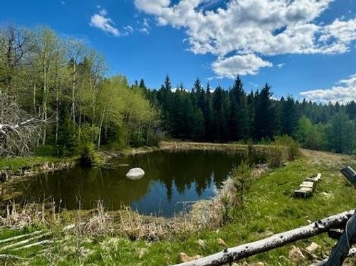 NHN Perkins Gulch Rd, Anaconda, MT, 59711 | Card Image