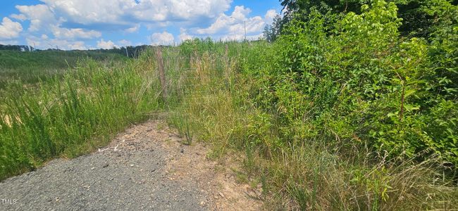 20240613_150801 | Image 12