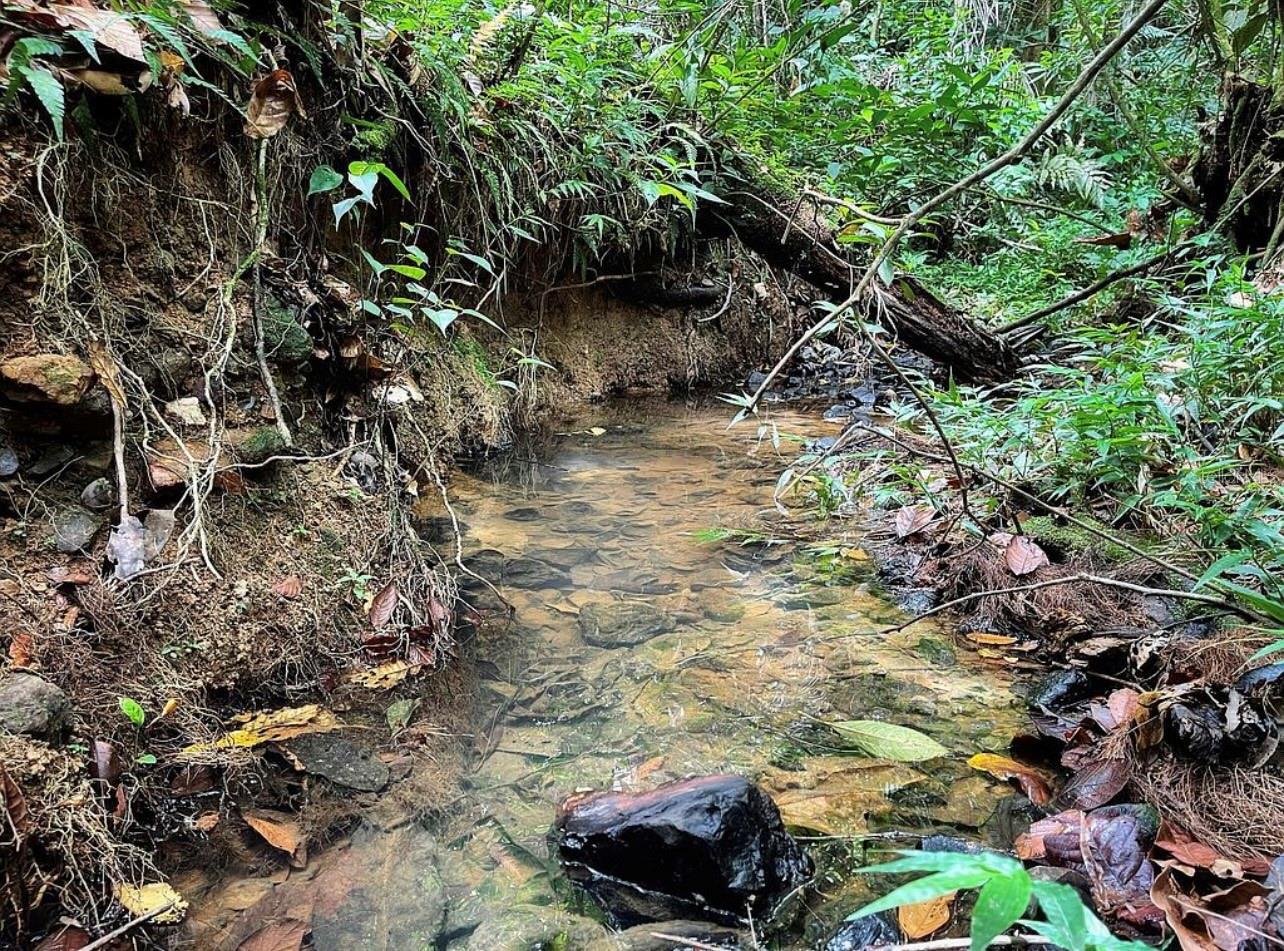 Land in CEIBA 2