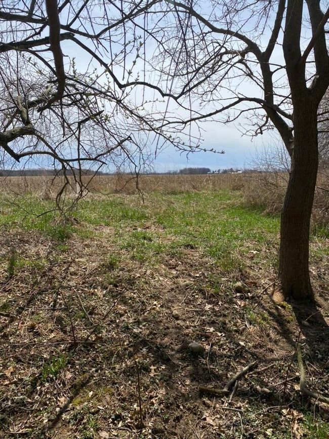 4500 S 42 Nd St, Home with 0 bedrooms, 0 bathrooms and null parking in Climax MI | Image 13