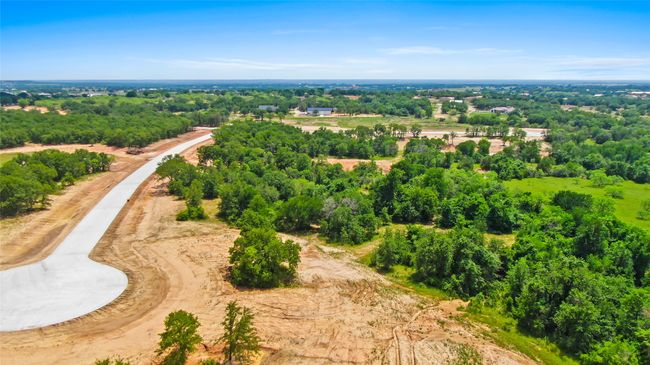 4008 Luciano Dr, Home with 0 bedrooms, 0 bathrooms and null parking in Brock TX | Image 8