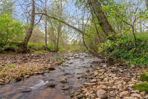 4 Bud Parker Ln, Erin, TN, 37061-6614 | Card Image