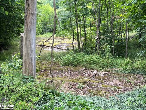 2473 Muskoka Rd S, Muskoka, ON, P0C1M0 | Card Image
