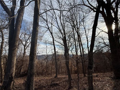 258 Holiday Island Dr, Holiday Island, AR, 72631-4819 | Card Image