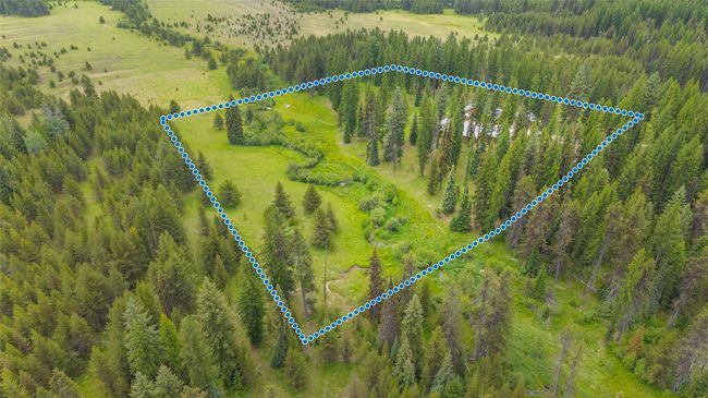 Aerial view of property's location featuring property boundaries highlighted and a heavily wooded area | Image 9