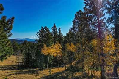 256 Powderhorn Lane, Home with 0 bedrooms, 0 bathrooms and null parking in Florissant CO | Image 2