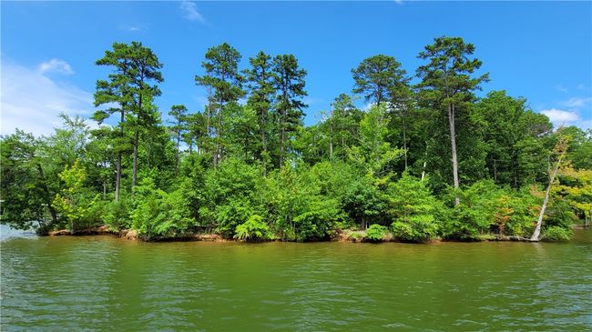 12 Creek Point Dr, Home with 0 bedrooms, 0 bathrooms and null parking in Abbeville SC | Image 7