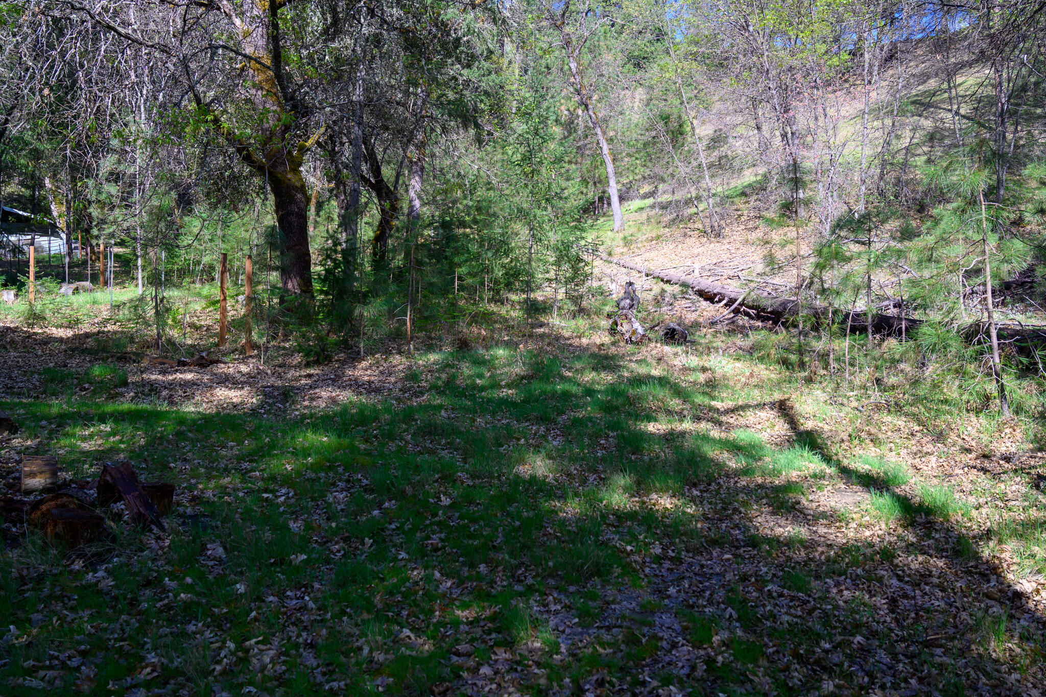 Land in Lewiston 2