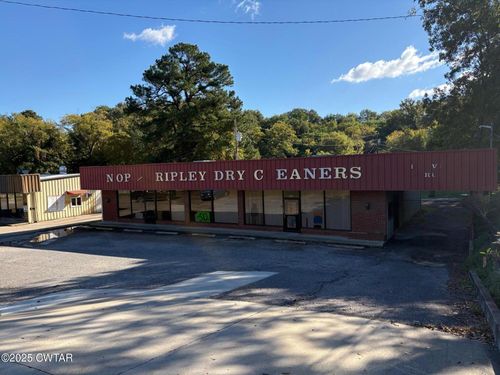 334 S Washington St, Ripley, TN, 38063-1755 | Card Image