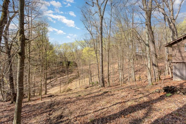 Sloped lot view | Image 27