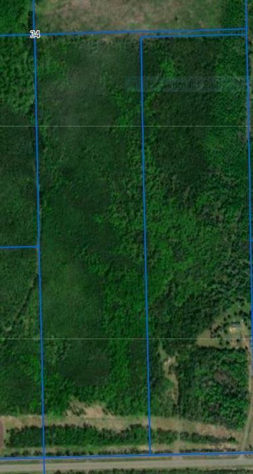 TBD Highway 11, Birchdale, MN, 56629 | Card Image