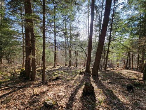 1890-A Bristol Road, Monkton, VT, 05469 | Card Image