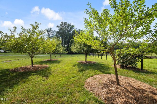 74-web-or-mls-P1072729 | Image 48