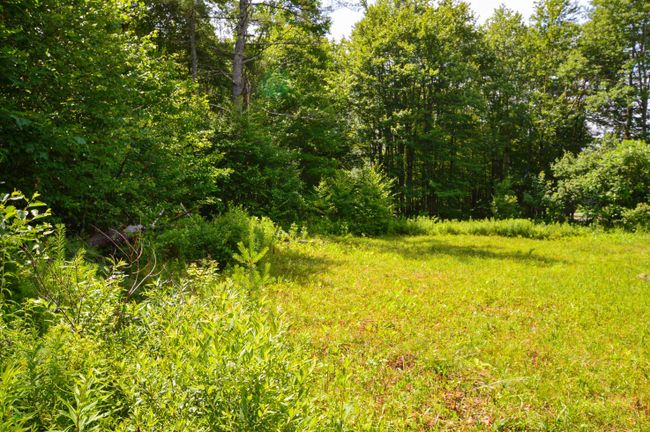 LOT-3 - 00 Vt Route 103 N, Home with 0 bedrooms, 0 bathrooms and null parking in Chester VT | Image 33