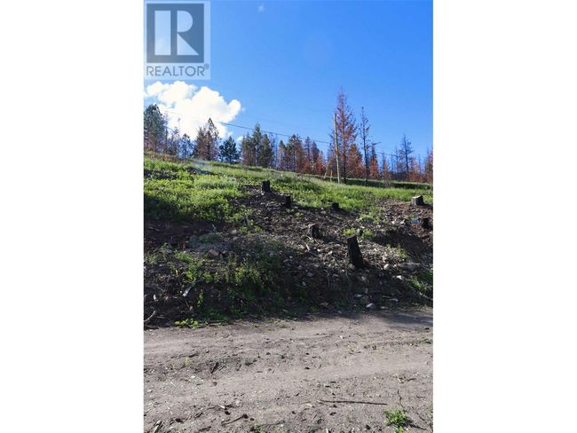 1419 Little Shuswap Lake Rd, Home with 0 bedrooms, 0 bathrooms and null parking in Chase BC | Image 9