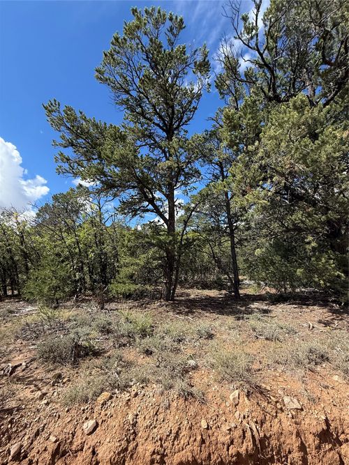 3-Lot 180, Lot 181, Lot 223 San Pedro Estates, Regina, NM, 87046 | Card Image