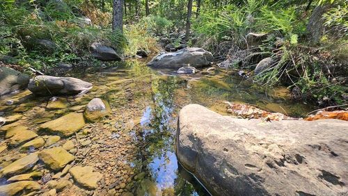 N/A Nc 8355, Jasper, AR, 72641 | Card Image