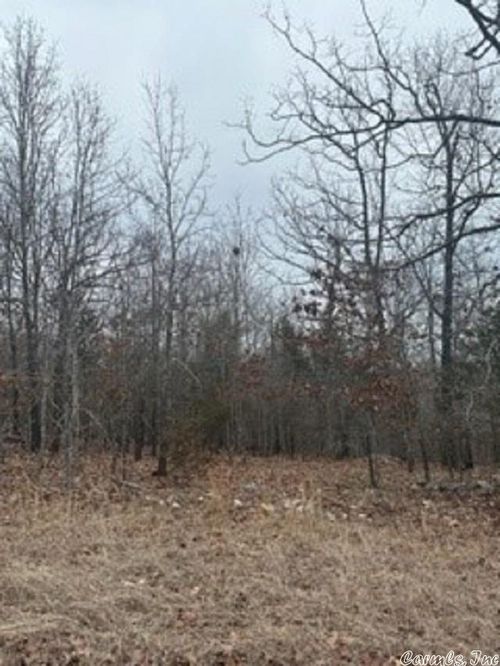 lot 14 Buckhead Lane Lane, Mountain Home, AR, 72653 | Card Image