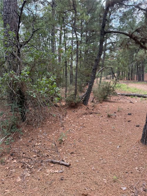 lot 35 Tanglewood Dr, Bastrop, TX, 78602 | Card Image