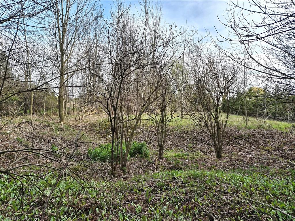Land in Palmerston 5