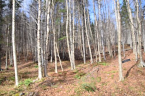 253 Brooks Park Rd, Stewartstown, NH, 03576-5438 | Card Image