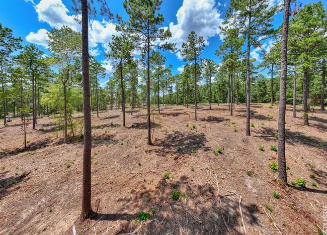 7 Fm 83, Home with 0 bedrooms, 0 bathrooms and null parking in Broaddus TX | Image 9