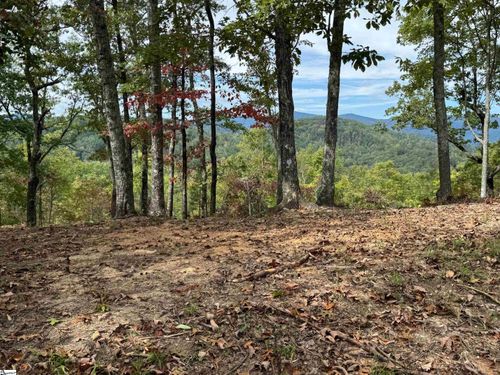 230 Blue Bonnet Trl, Marietta, SC, 29661-5164 | Card Image