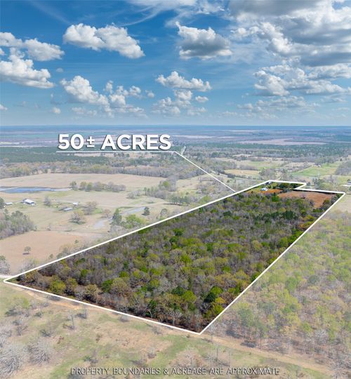 48 County Road 2360, Bagwell, TX, 75412-3210 | Card Image