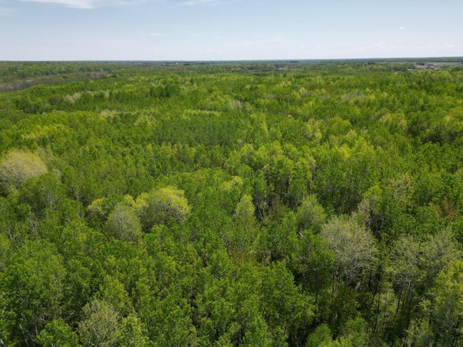 6920 Reed Ln, Home with 0 bedrooms, 0 bathrooms and null parking in Kettle River MN | Image 15