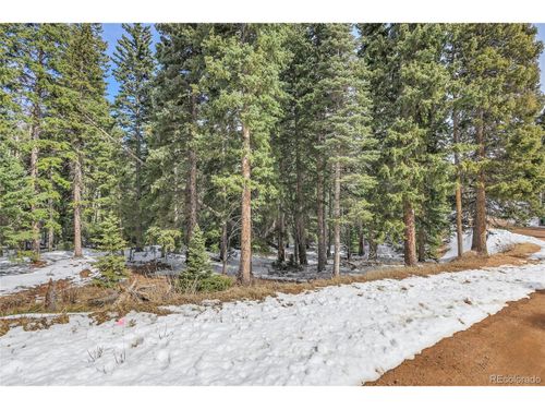 10549 Christopher Dr, Conifer, CO, 80433-8813 | Card Image