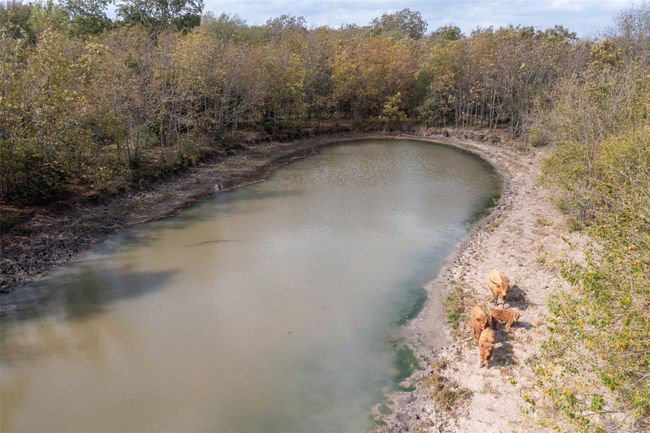 Pond Located at the Back of the Property1 | Image 32