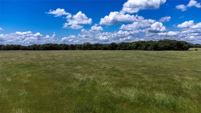 3196 Brooks Ln, Home with 0 bedrooms, 0 bathrooms and null parking in Sadler TX | Image 29