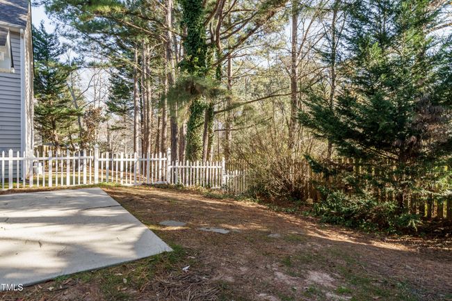 023_ Backyard | Image 23