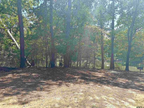 Lot 45 Cypress Creek Dr, Mt Vernon, TX, 75457 | Card Image