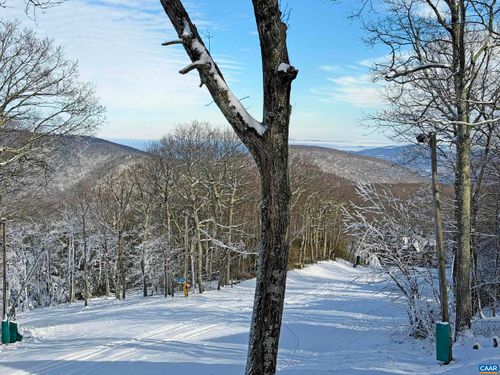 21 Tyro Ln, WINTERGREEN RESORT, VA, 22967-8263 | Card Image