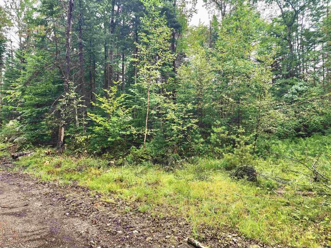 213 Bell Hill Rd, House other with 2 bedrooms, 1 bathrooms and null parking in Stark NH | Image 23