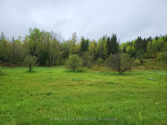 447 Frantz Rd, House other with 2 bedrooms, 1 bathrooms and 3 parking in Maynooth ON | Image 39